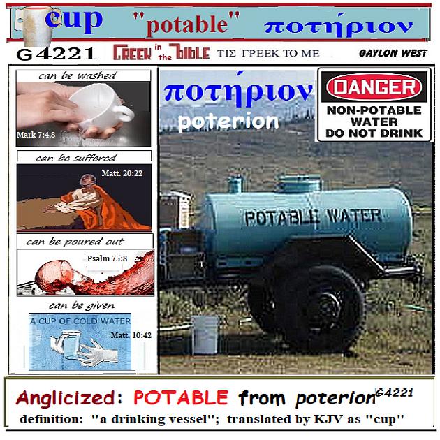 potable-cup